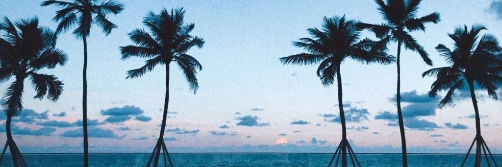 Wahlrusman banner