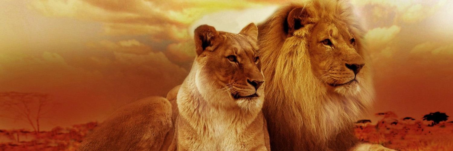 deepnadig's profile banner image