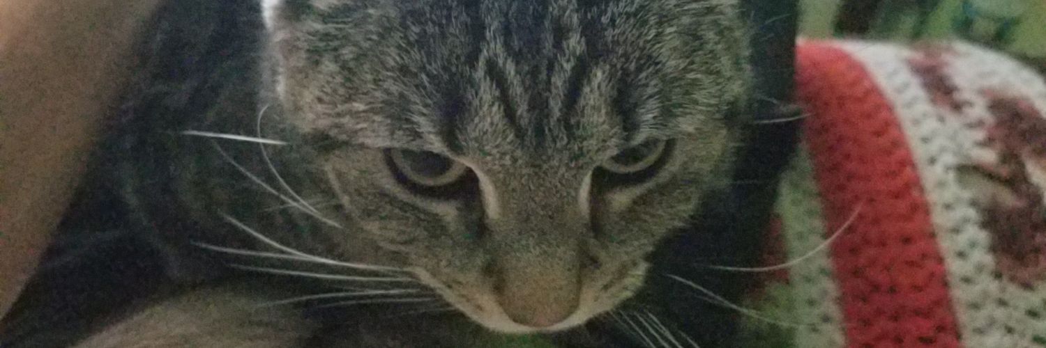 NicktheChaos's profile banner image