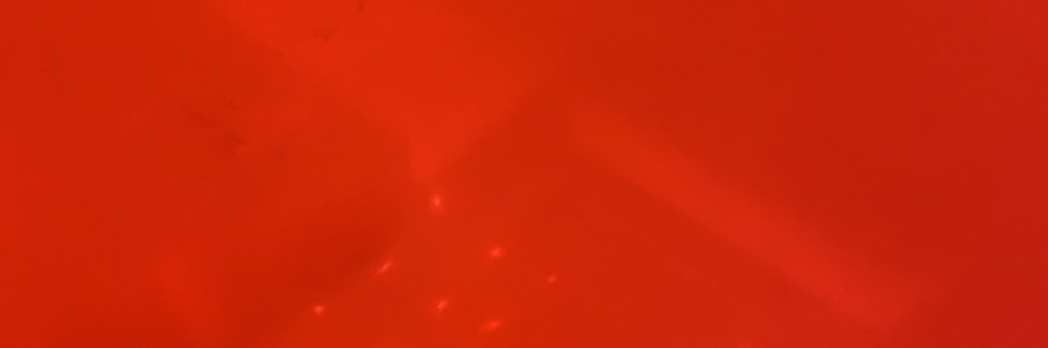 ebermatos's profile banner image