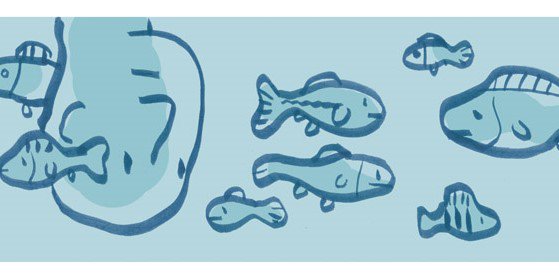 Oceanógrafa de floresta banner