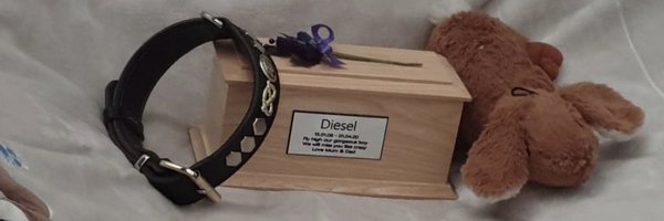 Lisa15781 Profile Banner