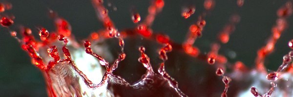 BloodStudies's profile banner image