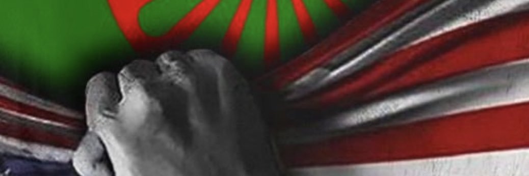 William H. Hicks banner