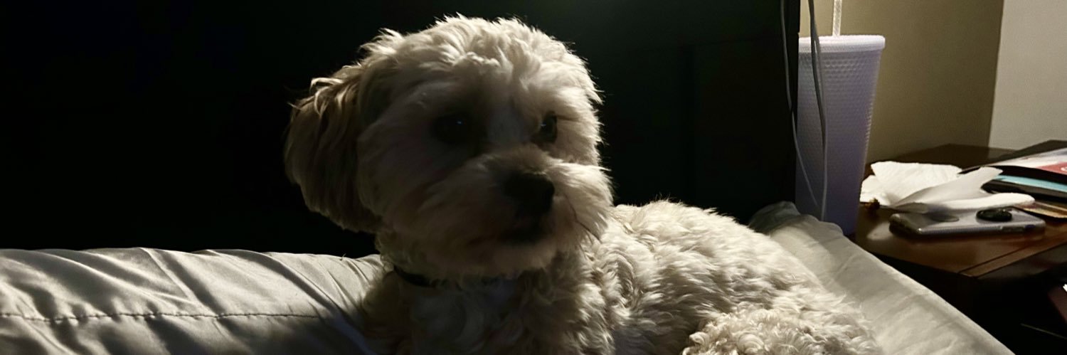 Carol2109's profile banner image