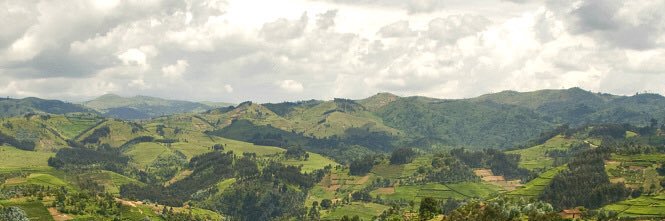 Michaëlla Rugwizangoga banner