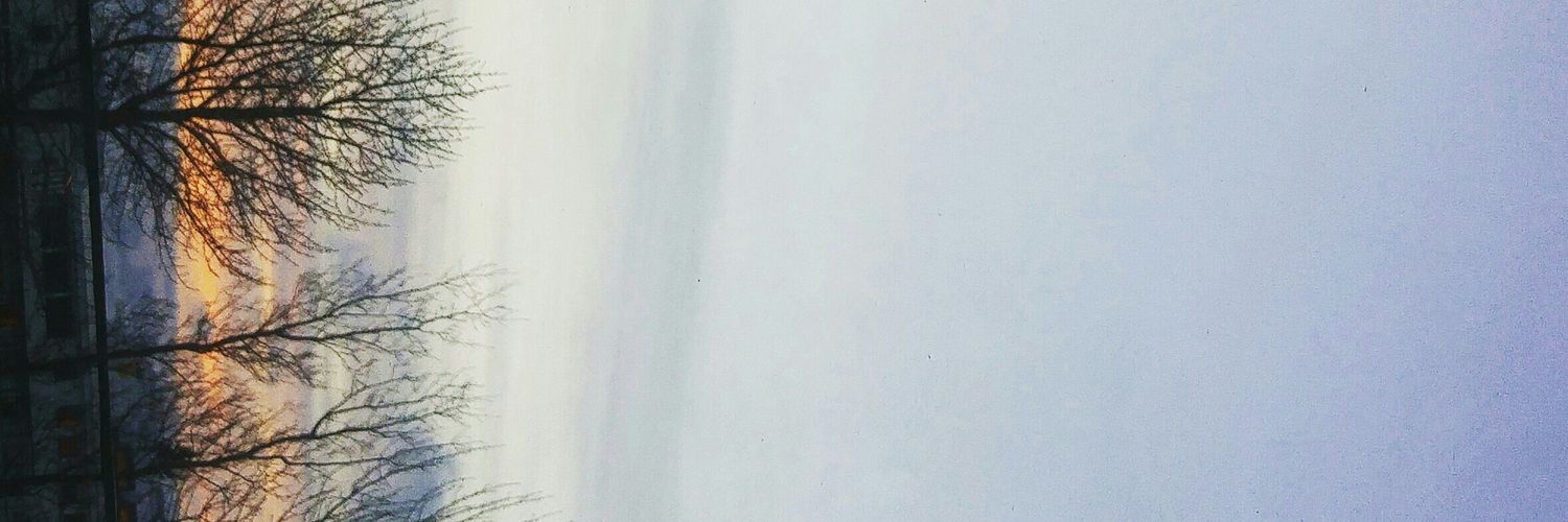 ragnheiduringa's profile banner image