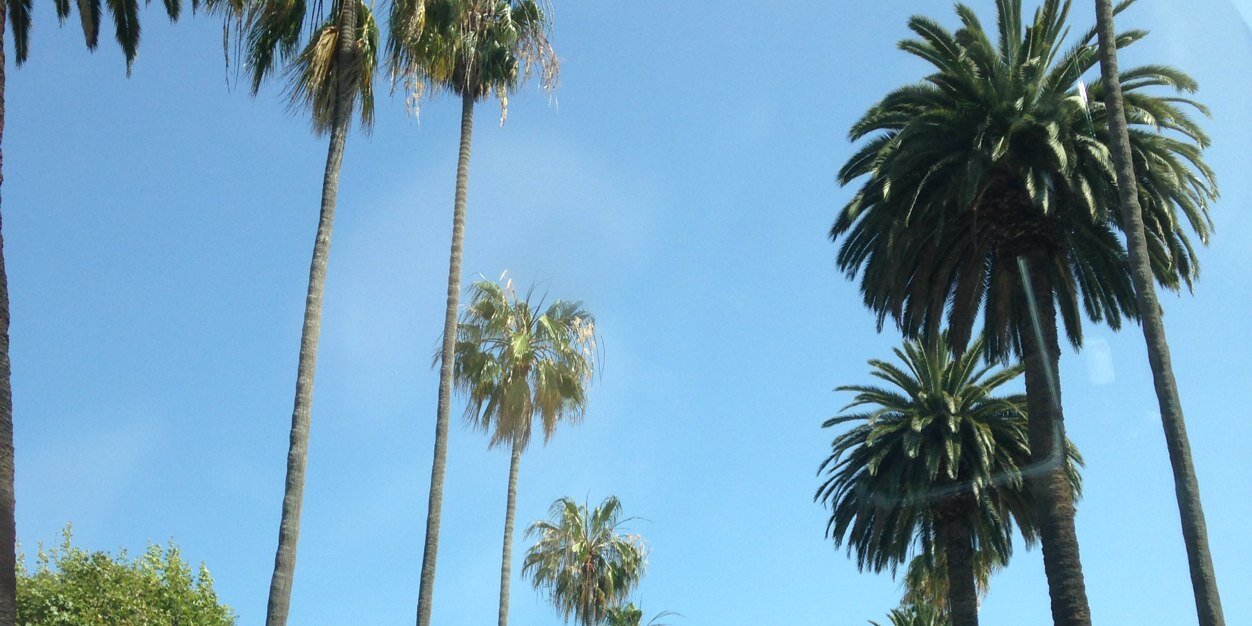 IntegralYogaCtr's profile banner image