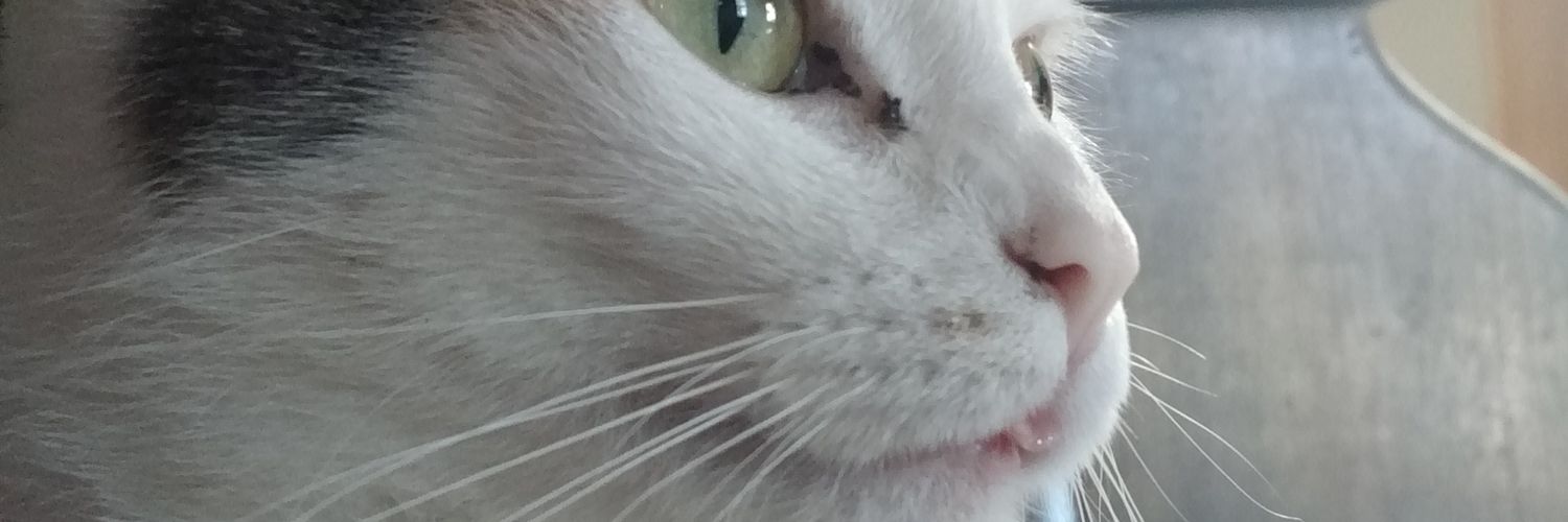 PopcornChicken_'s profile banner image