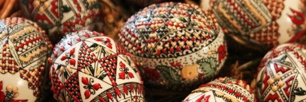 Holly Boardman banner