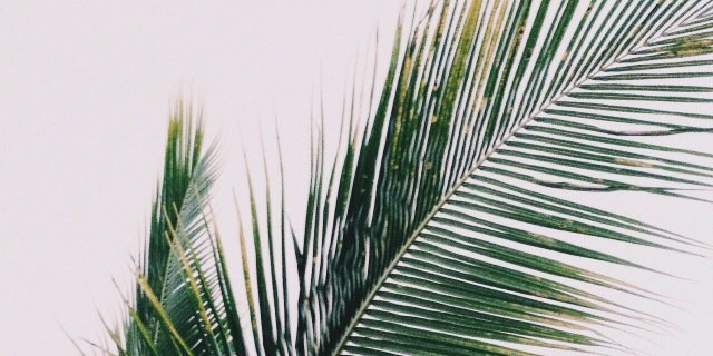 _Emilieej's profile banner image