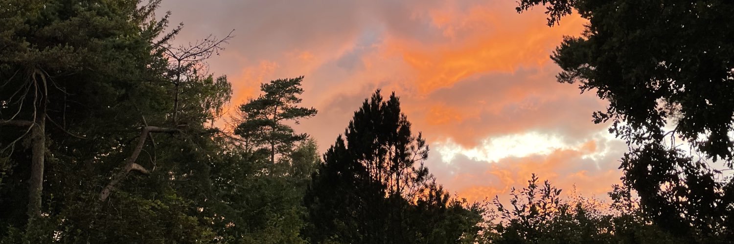 JBjerrehuus's profile banner image