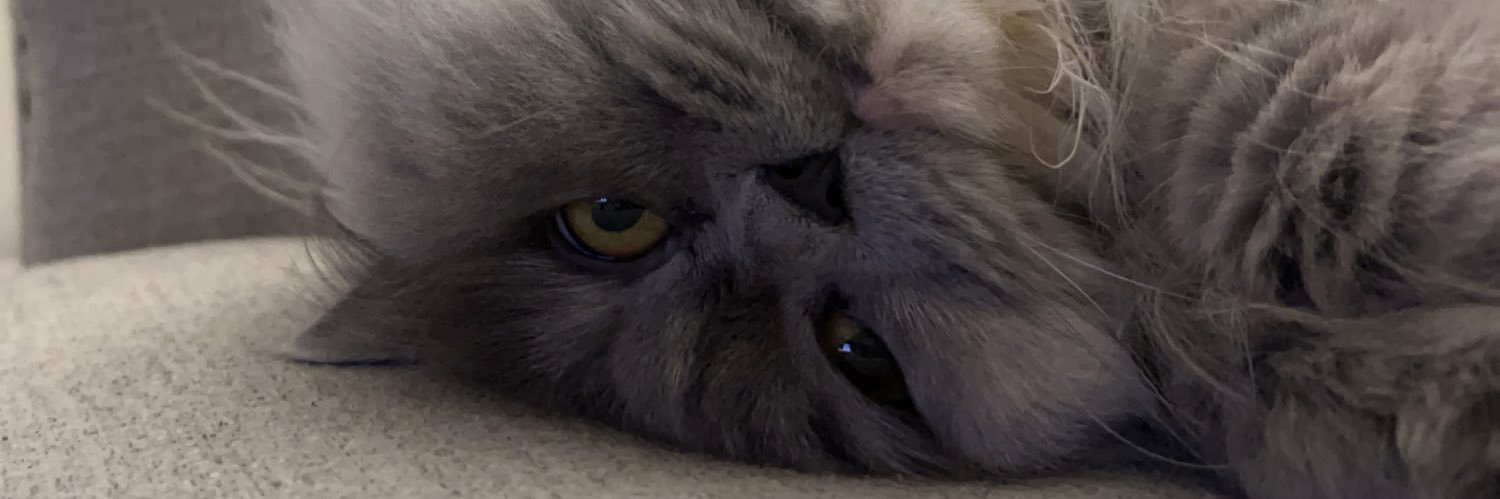 Majdees's profile banner image
