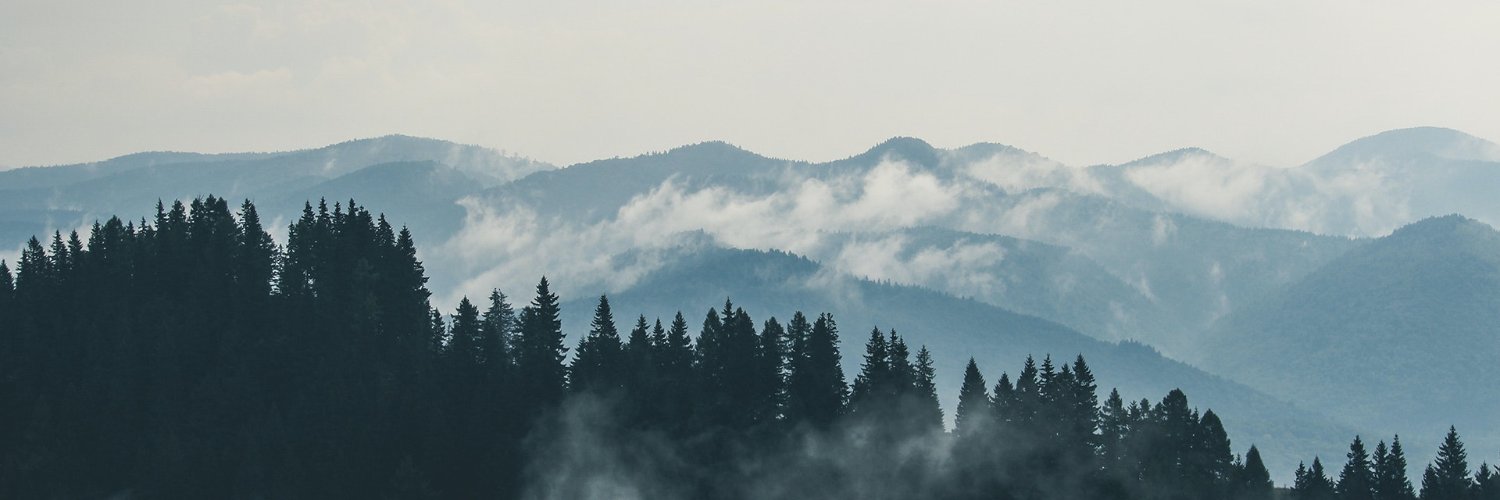 archiemoves92's profile banner image