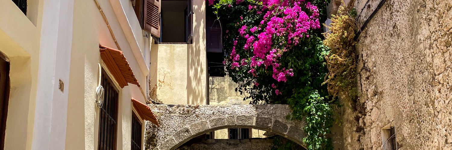 nicoleprag's profile banner image