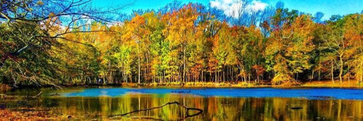 AMsporty's profile banner image