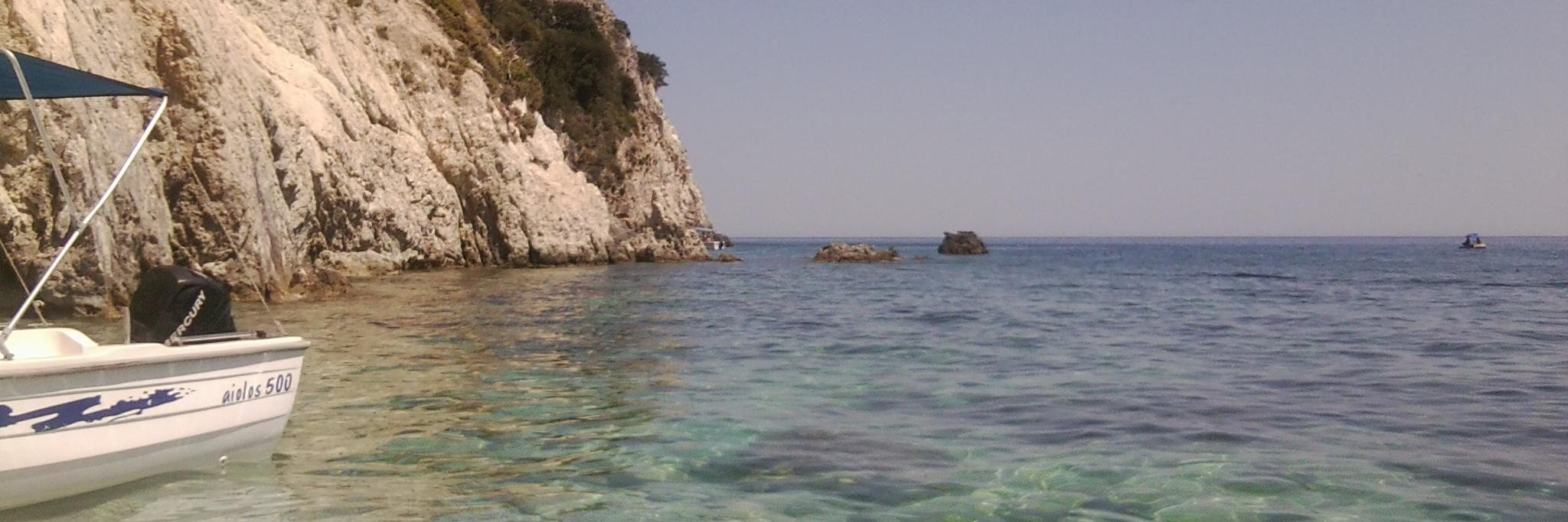 Rachel Connor banner