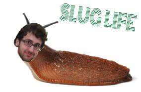 dlawlrence's profile banner image