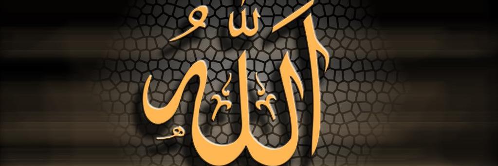 TweeshaLady's profile banner image