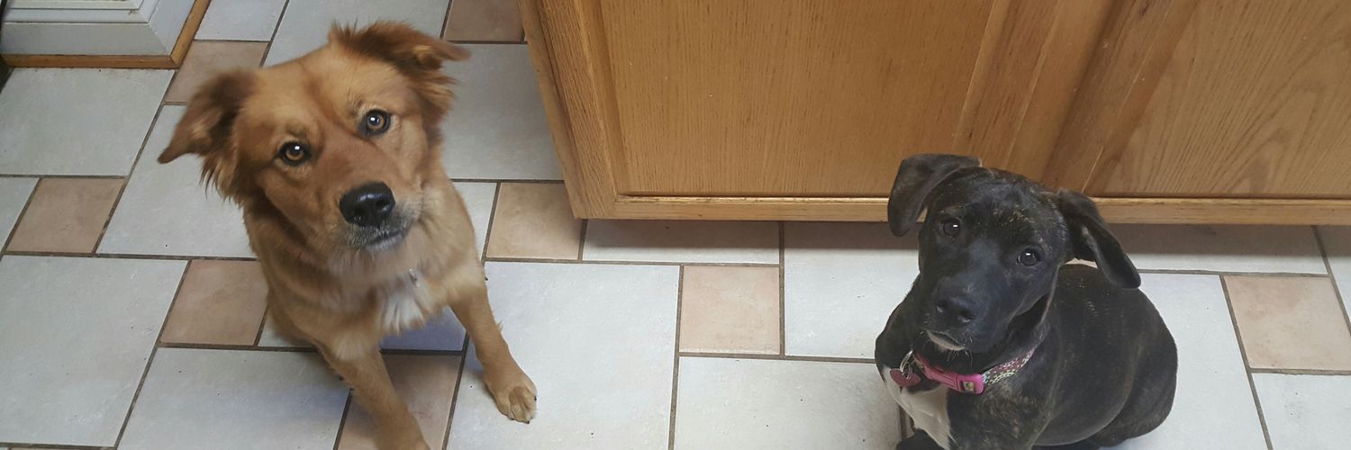 beckerruth28's profile banner image