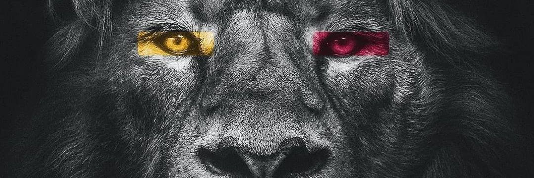 CH_1905's profile banner image