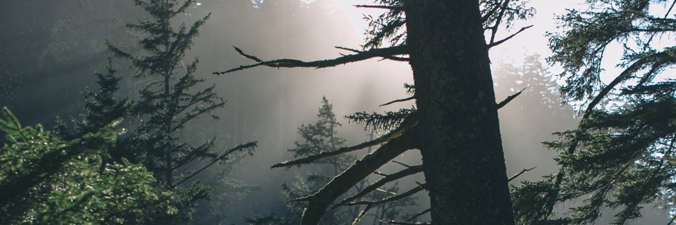FlourishNatMed's profile banner image