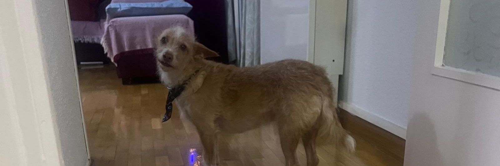 waxerdj's profile banner image