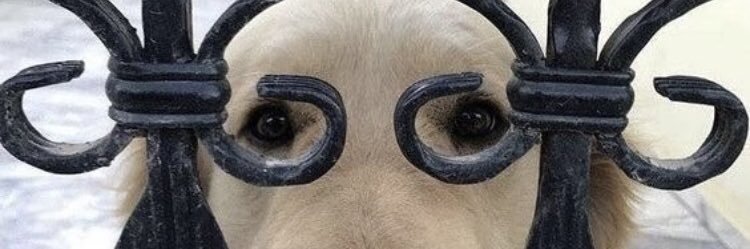 sensenplast's profile banner image
