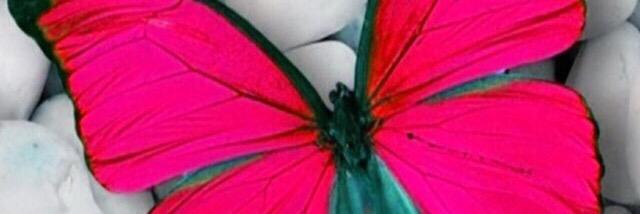 veritoxurry's profile banner image