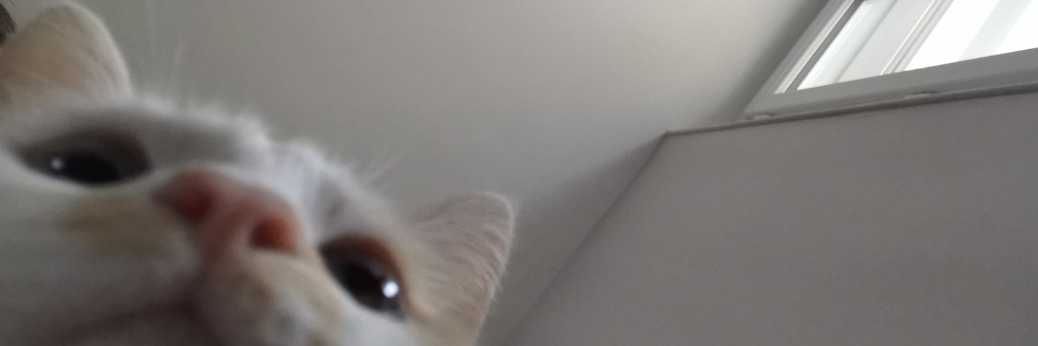 SoleneClnrd's profile banner image