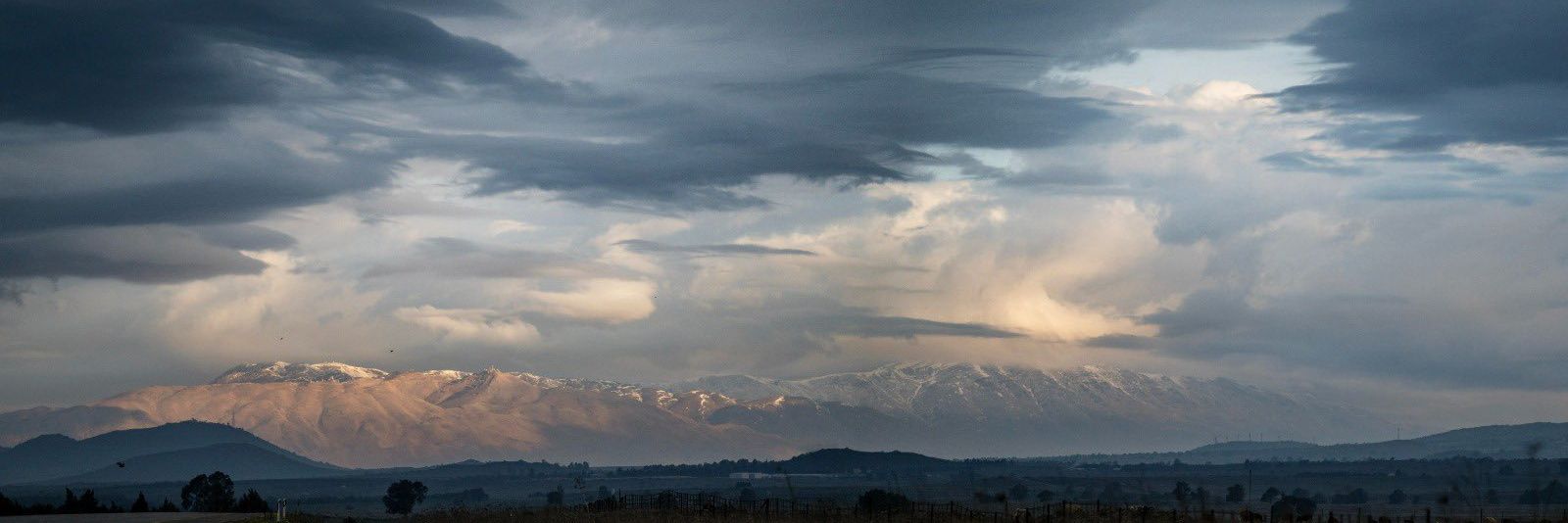 Tyler Barella (ישי) ✡️ 🎗 banner