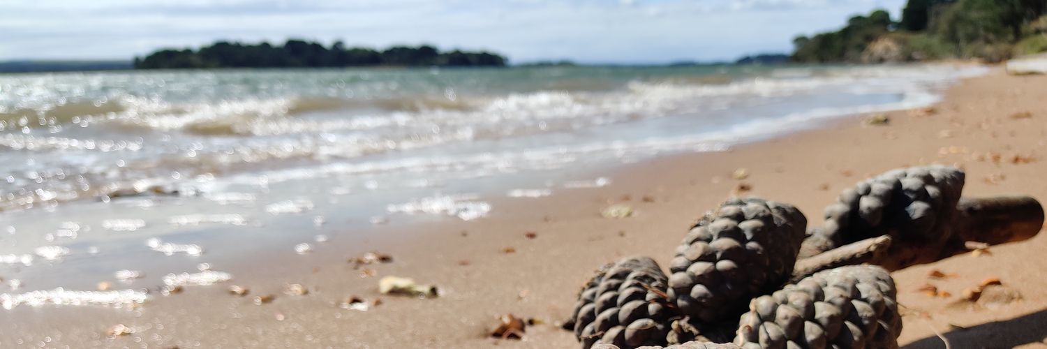 Agz 🏳️‍🌈 banner