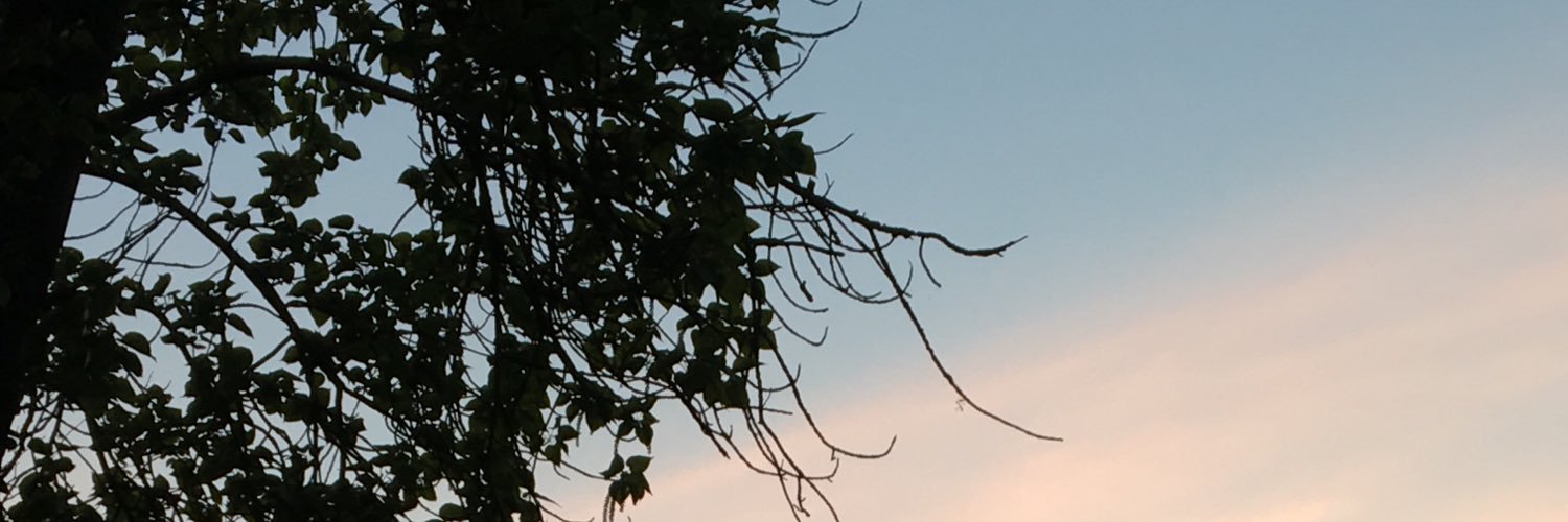 Mitcheeey_x's profile banner image