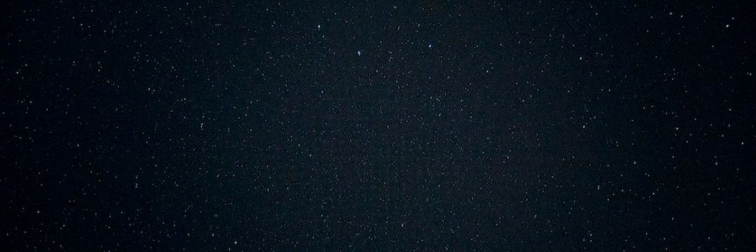 WilmaRabbit's profile banner image