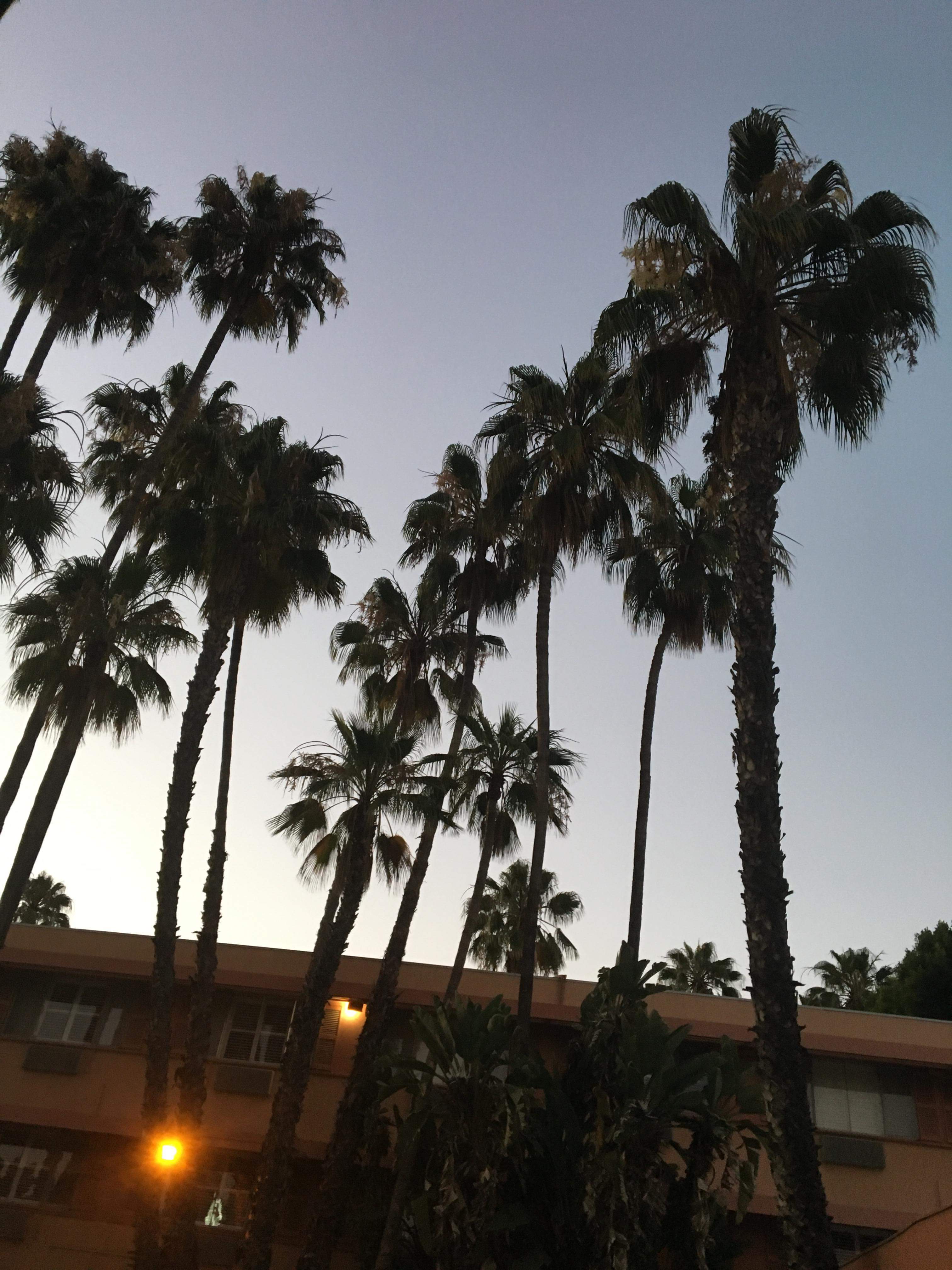 Øystein Haslum banner