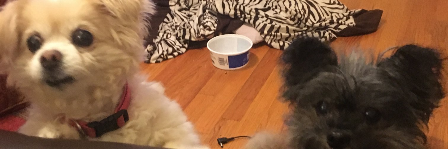 Sherry Belk-Fowler banner