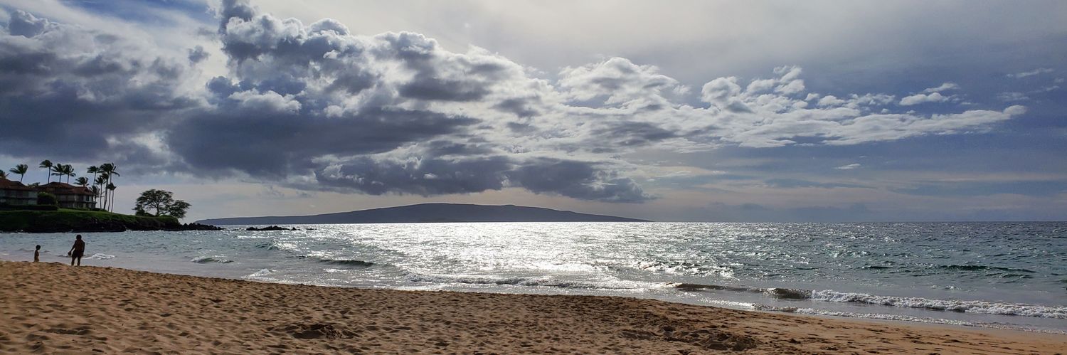 Chris Patrick banner