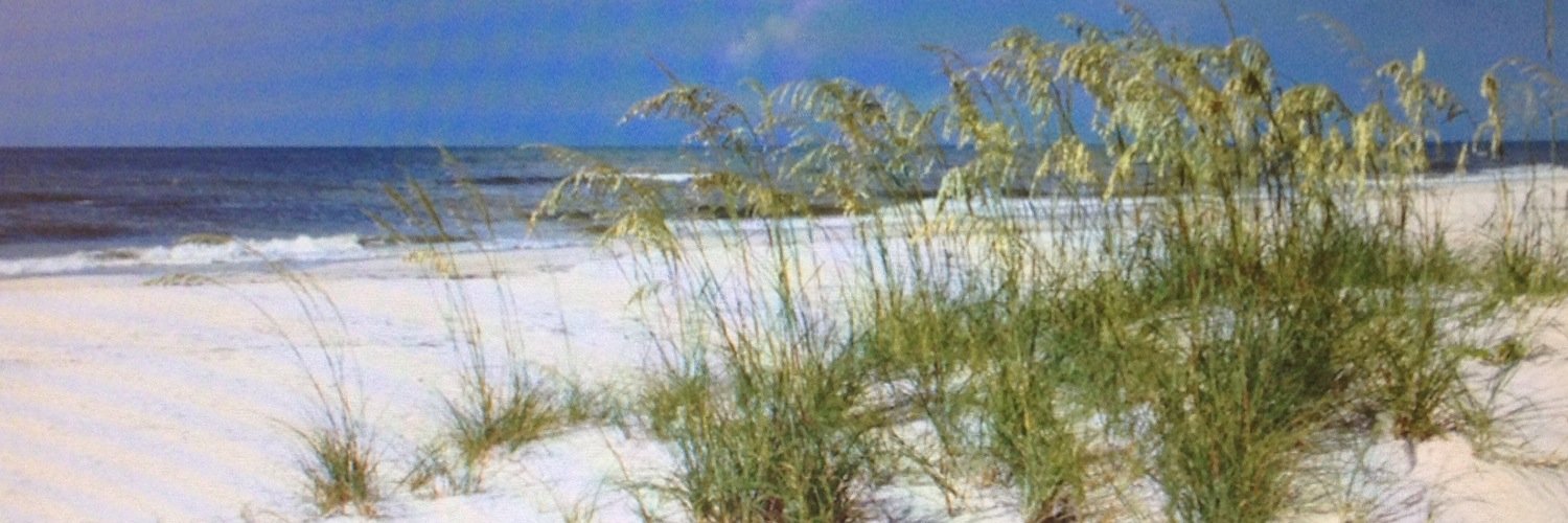 bridget_everett's profile banner image