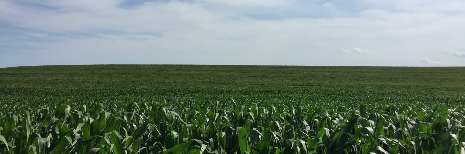a_engberg's profile banner image