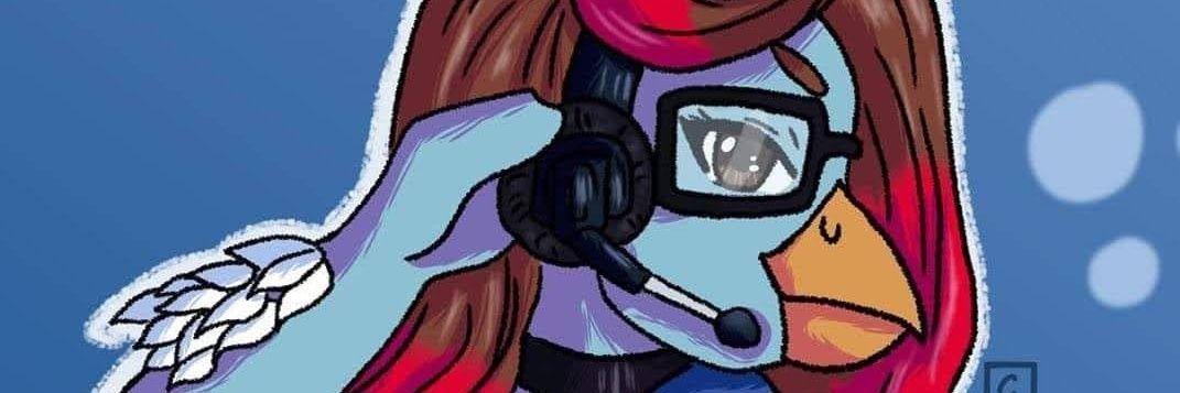 Do1phinChicken's profile banner image