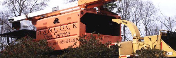 HancockTrees Profile Banner
