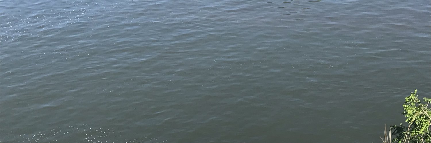 Joagisel's profile banner image