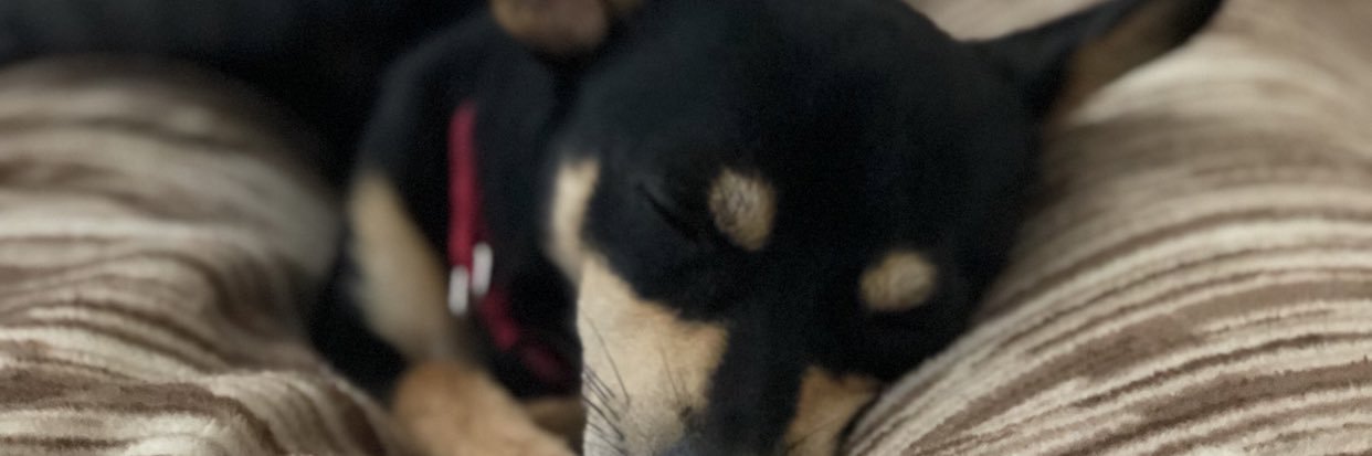 falsehieroglyph's profile banner image