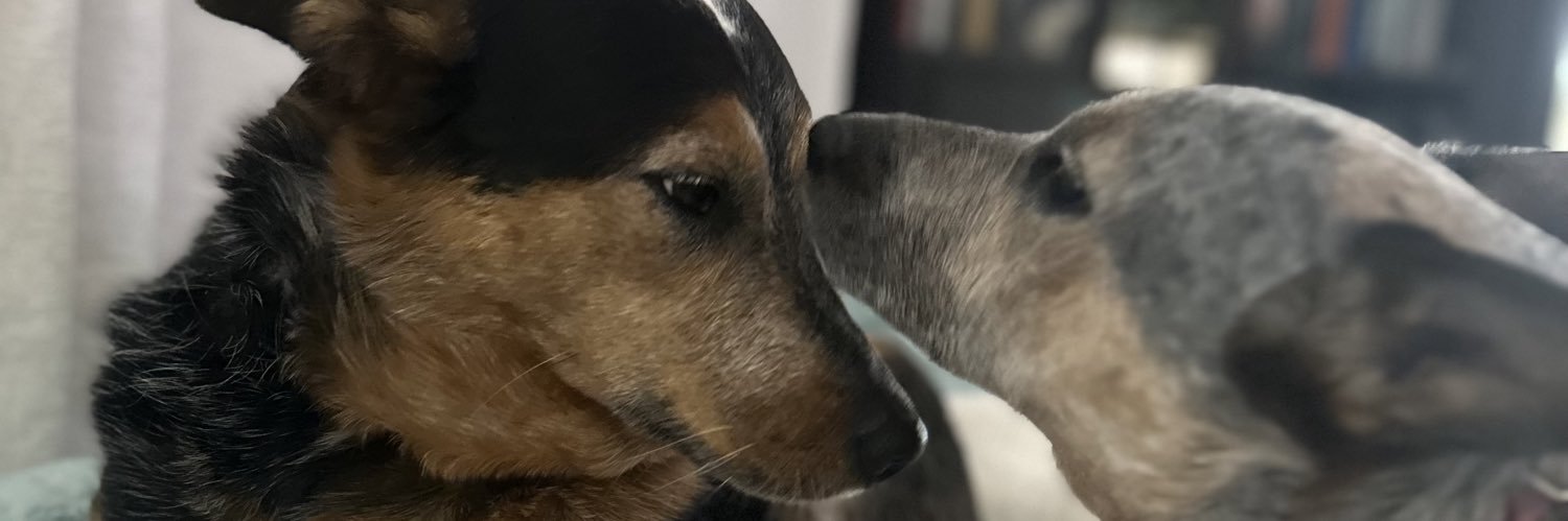 ReneeFurr's profile banner image