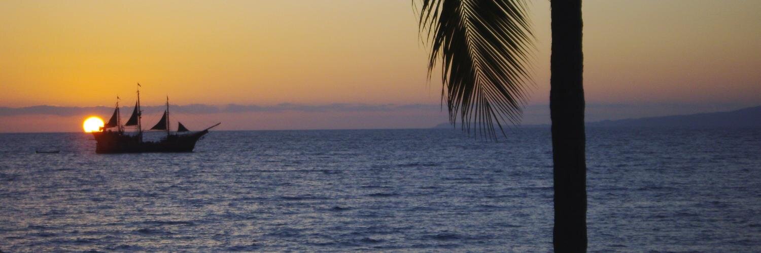 PVParrothead's profile banner image