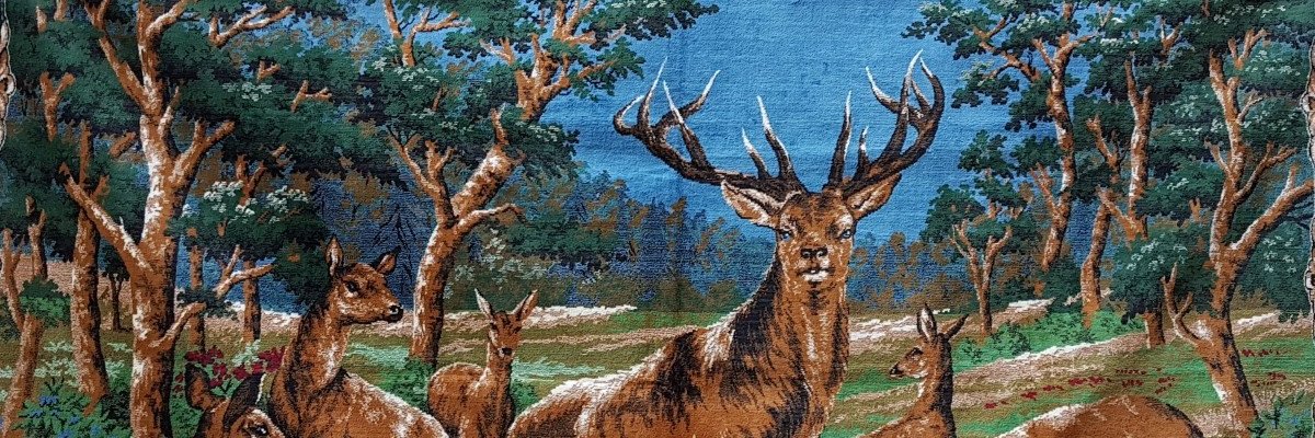 PrensipszMoment's profile banner image