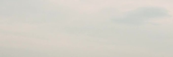 ſæn banner