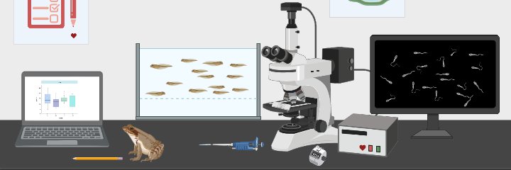 Allison Bogisich, MSc. banner