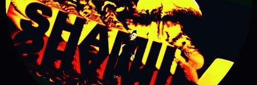 LADYSHAMIIRA's profile banner image