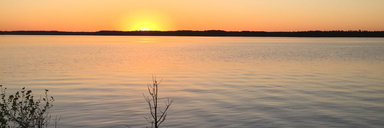 Bwenz11's profile banner image